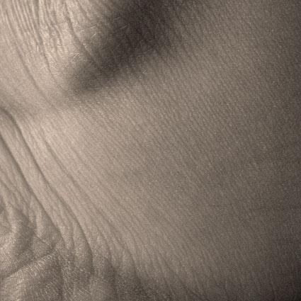Lignes 1 - Laurence Grandemange