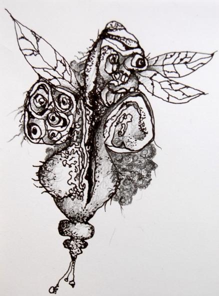 Insecte 2 - Laurence Grandemange
