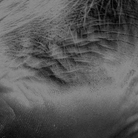 Lignes 2 - Laurence Grandemange