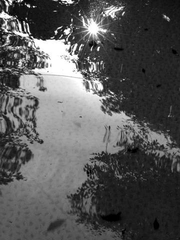 tout devient abstrait - Laurence Grandemange