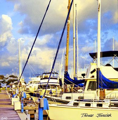 Marina - Thomas Jewusiak