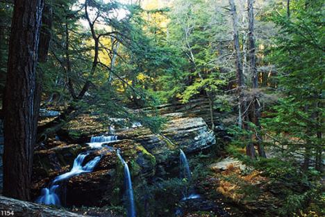 Catskill Falls - Thomas Jewusiak