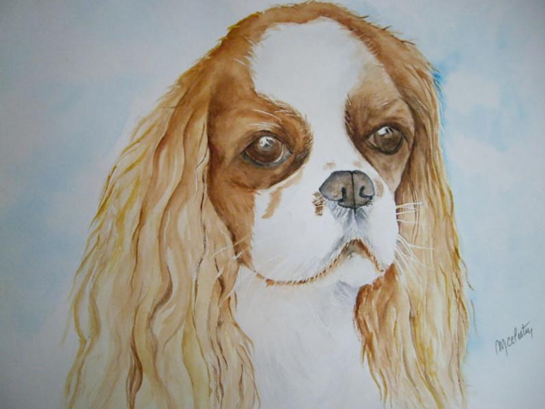 Cavalier King Charles Spaniel - Marie Celestin - Click to enlarge
