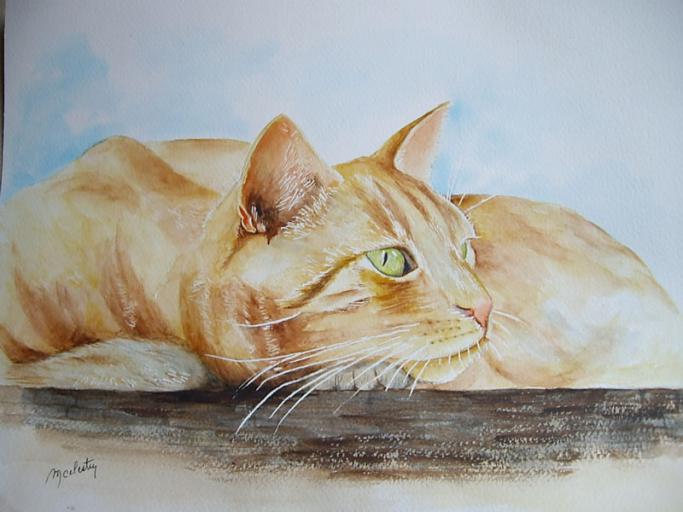 Chat roux songeur - Marie Celestin - Click to enlarge