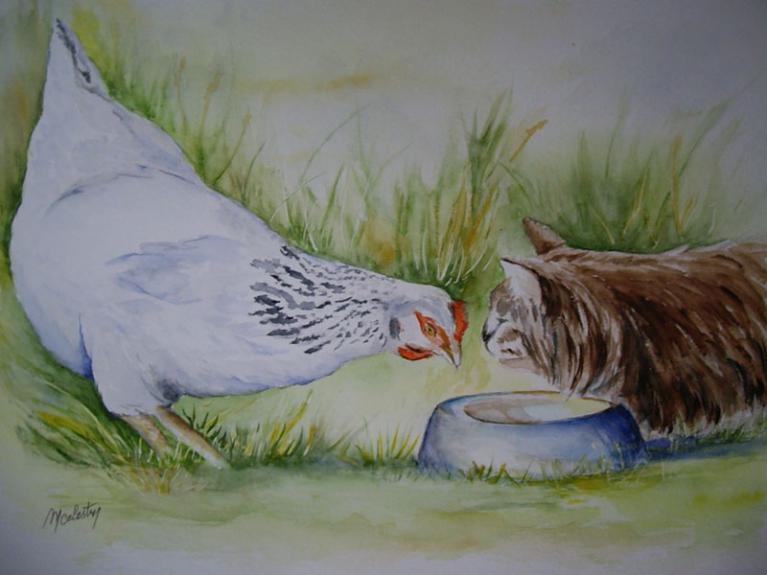 Poule et chat - Marie Celestin - Click to enlarge