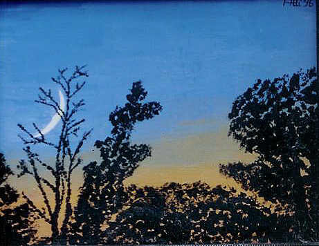 Sun-Moon - Attila A. Tóth