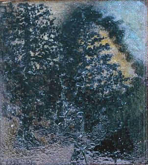 Pinetrees - Attila A. Tóth