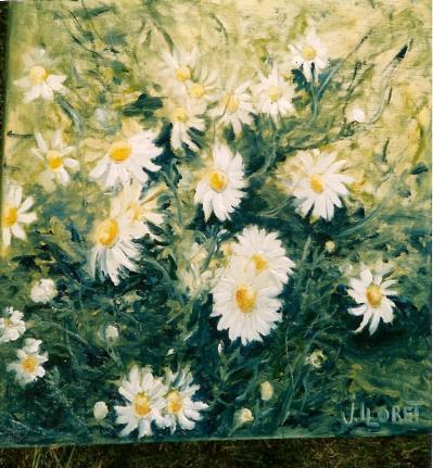 Les Marguerites - Jocelyne Lloret