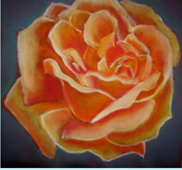 rose jaune - Bchira Arfaoui - Cliquer pour afficher en grand