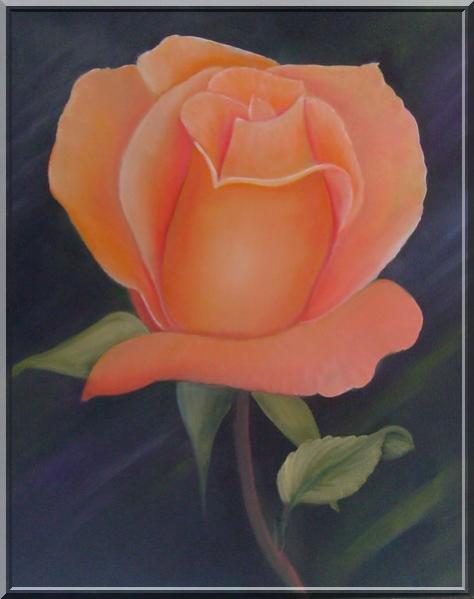 orange - Bchira Arfaoui