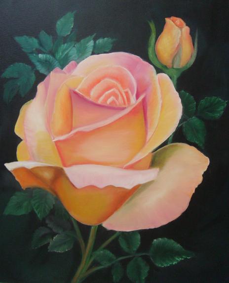 rose bicolore - Bchira Arfaoui