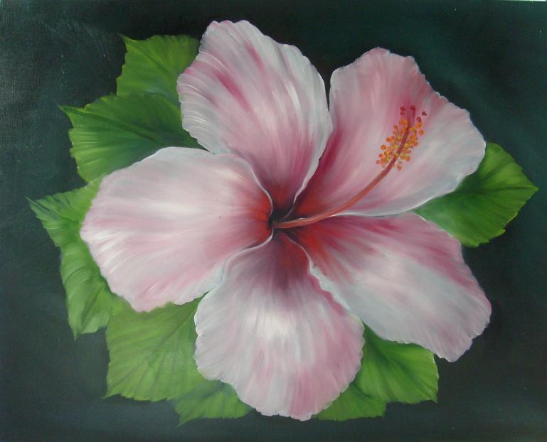 hibiscus - Bchira Arfaoui - Cliquer pour afficher en grand