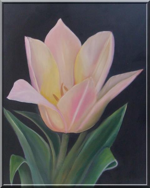 tulipe - Bchira Arfaoui