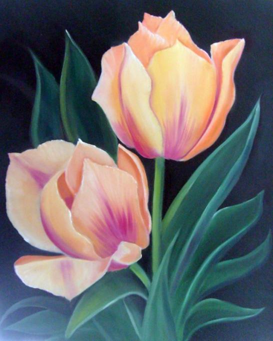 tulipes - Bchira Arfaoui