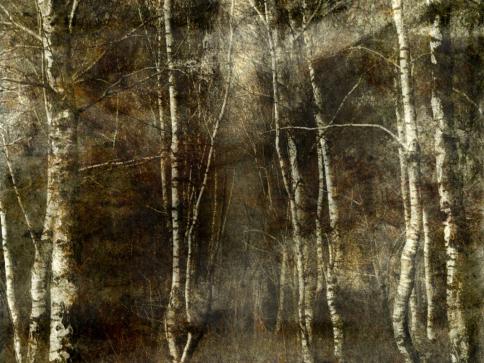automne - Berthier Philippe