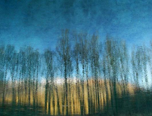 coloris - Berthier Philippe