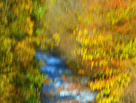 comme un tableau - Berthier Philippe - Click to enlarge