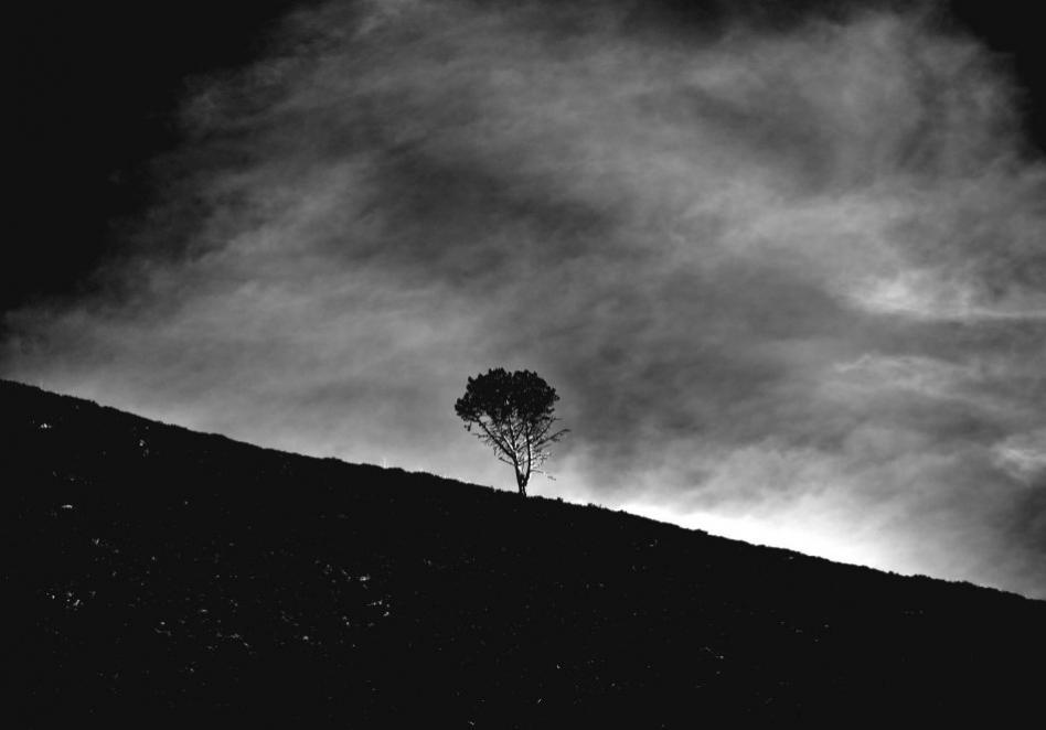 contraste - Berthier Philippe - Click to enlarge