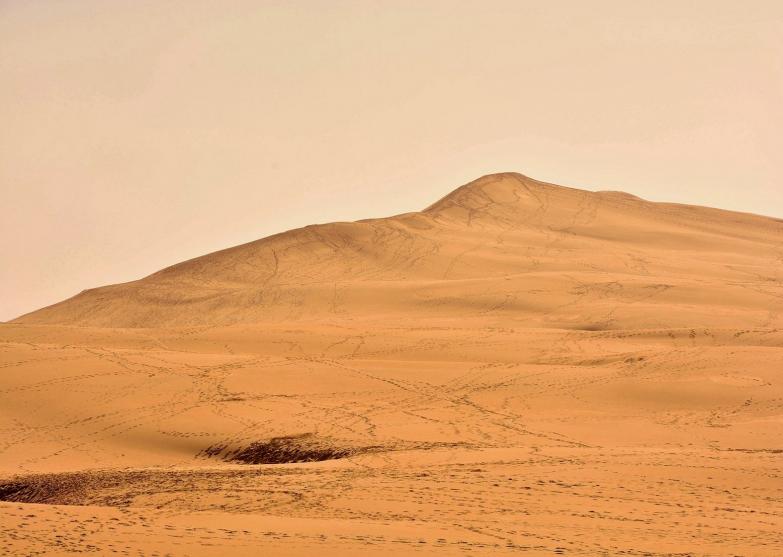 dune - Berthier Philippe - Cliquer pour afficher en grand