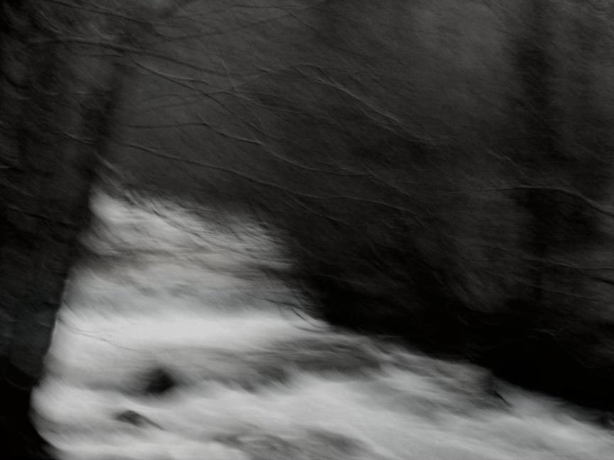 embranchement - Berthier Philippe - Click to enlarge