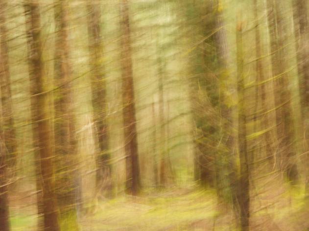 impressionisme1 - Berthier Philippe - Click to enlarge