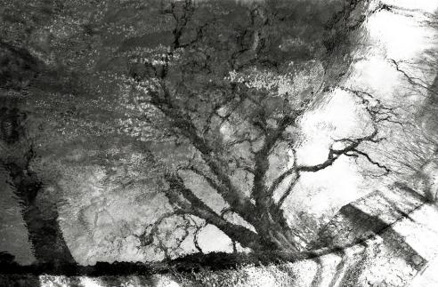 inversion - Berthier Philippe