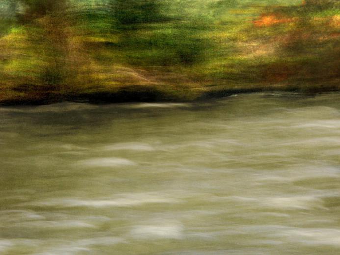 les berges - Berthier Philippe - Click to enlarge