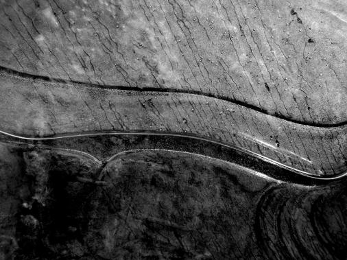 lignes - Berthier Philippe