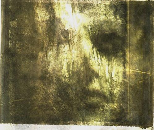 metamorphose - Berthier Philippe