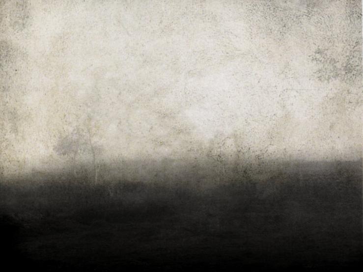 nature abstract - Berthier Philippe - Click to enlarge