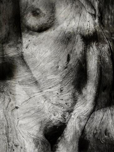 noface - Berthier Philippe