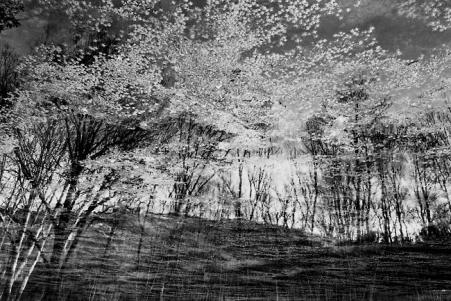 reflet - Berthier Philippe