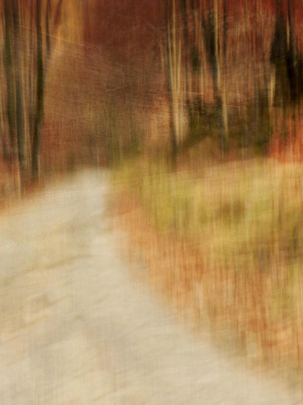 route - Berthier Philippe - Click to enlarge