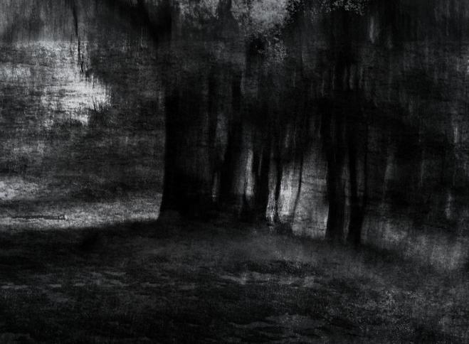 the black forest - Berthier Philippe - Click to enlarge