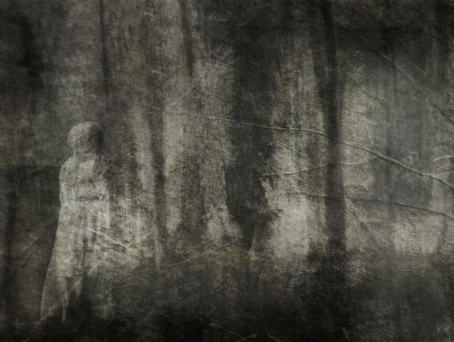 the walk - Berthier Philippe - Click to enlarge