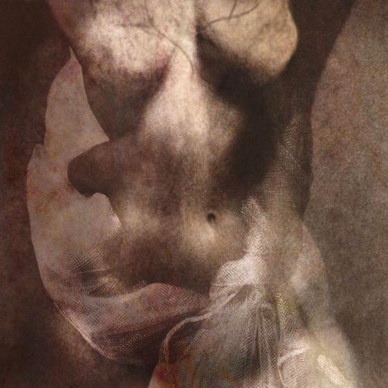 torchon - Berthier Philippe