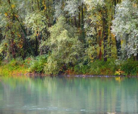 un ocean de couleurs - Berthier Philippe