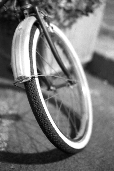 velo - Berthier Philippe