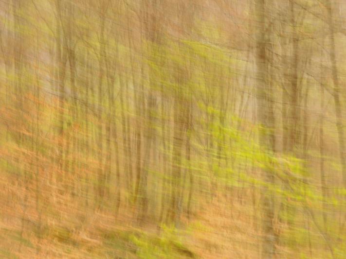 vif - Berthier Philippe - Click to enlarge