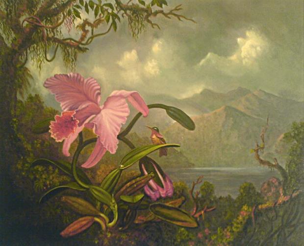 Orchid and Hummingbird - Maria Korkinova - Click to enlarge