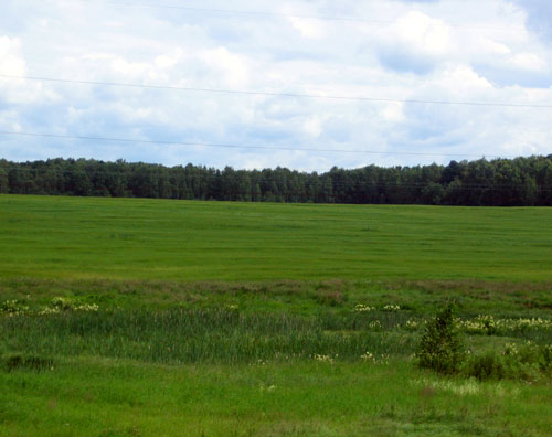 Landscape 07 - Maria Borisova