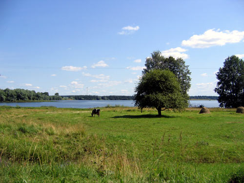 Landscape 11 - Maria Borisova