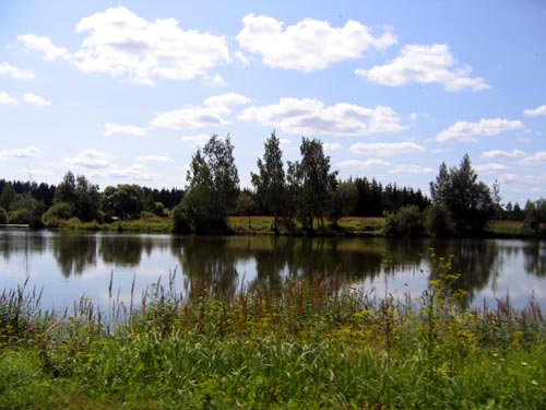 Landscape 12 - Maria Borisova