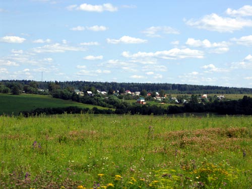 Landscape 16 - Maria Borisova