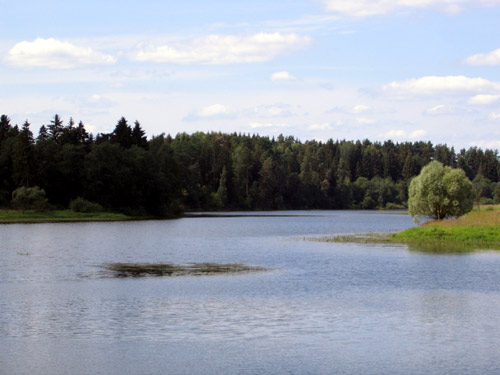 Landscape 18 - Maria Borisova
