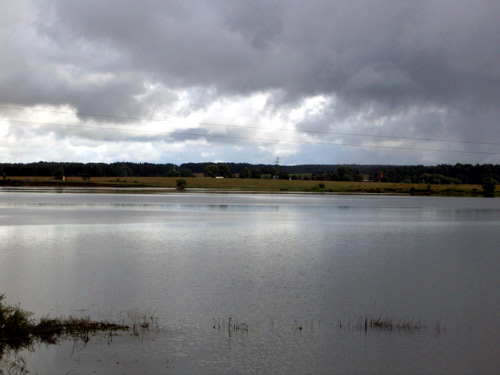 Landscape 22 - Maria Borisova