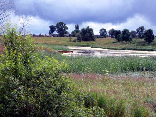 Landscape 24 - Maria Borisova