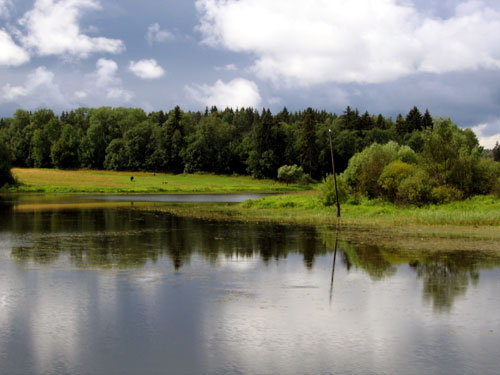Landscape 25 - Maria Borisova