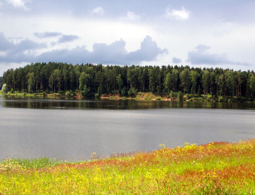 Landscape 26 - Maria Borisova