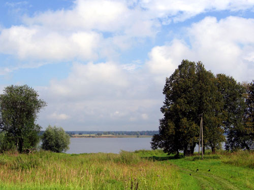 Landscape 32 - Maria Borisova